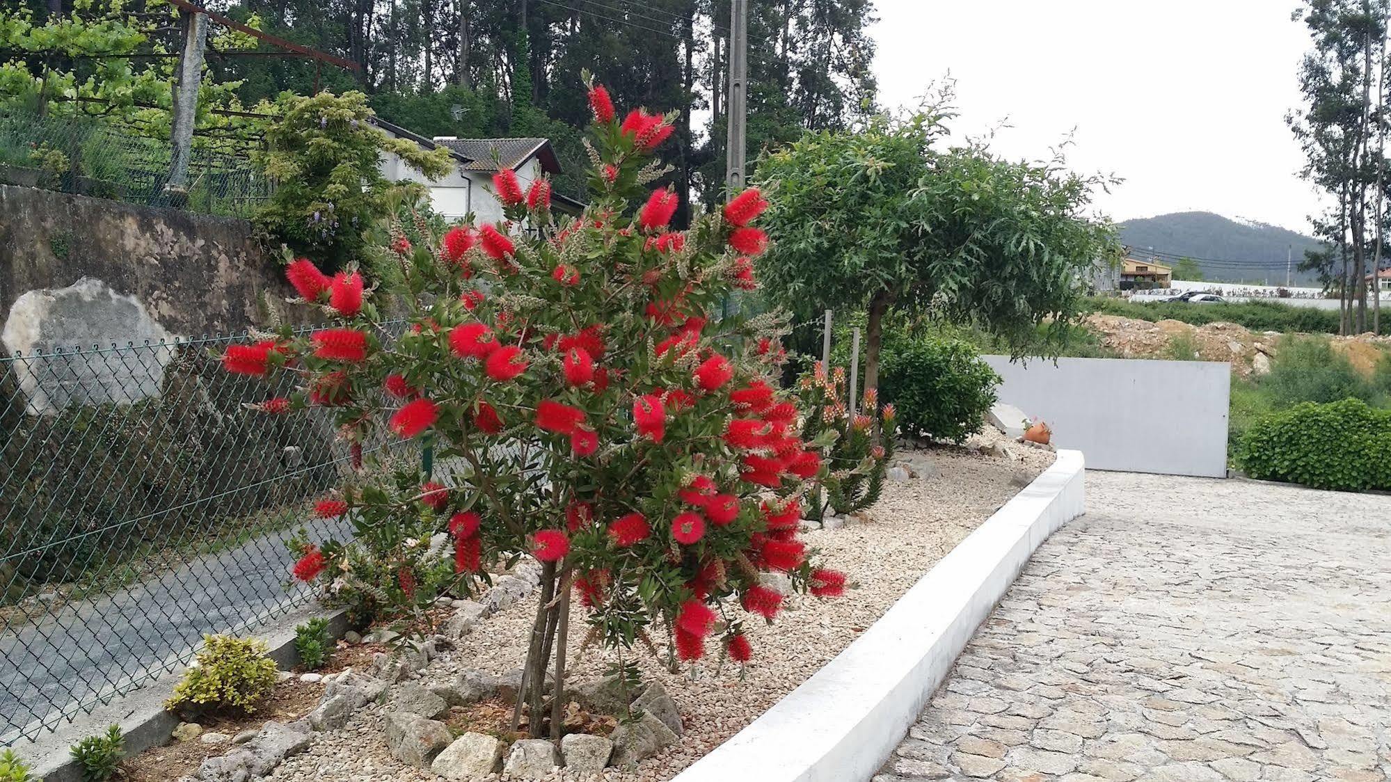 Casa Do Porto Carreiro Villa Oliveira de Azemeis Luaran gambar